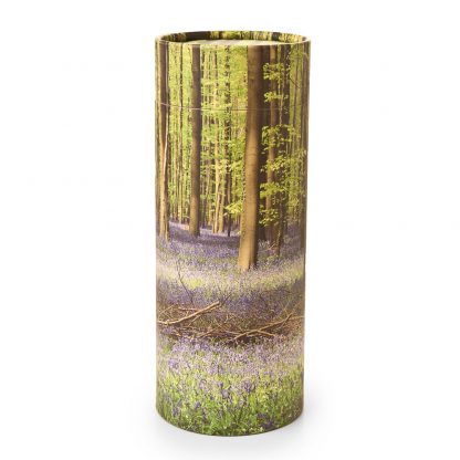 Bluebell Forest Scattering Cylinder